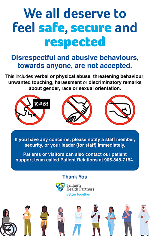 Disrespectful and abusive behaviours, towards anyone, are not accepted - clic kto open PDF poster